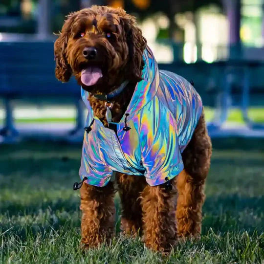 Reflective Dogs Hoodie Jacket