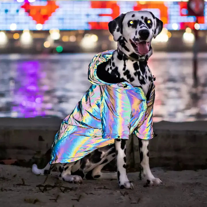 Reflective Dogs Hoodie Jacket