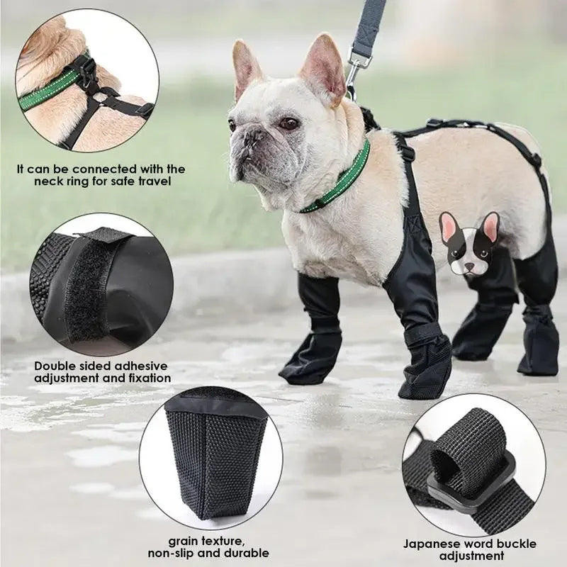 Suspender Dog Boots